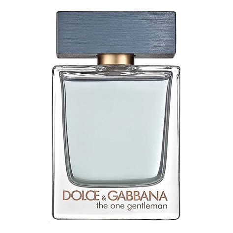 dolce gabbana the one performance|d&g the one gentleman.